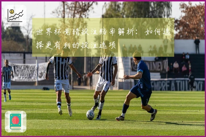 世界杯竞猜投注赔率解析：如何选择更有利的投注选项