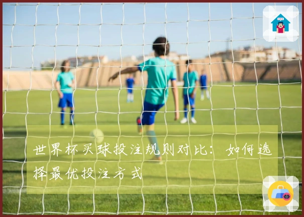 世界杯买球投注规则对比：如何选择最优投注方式
