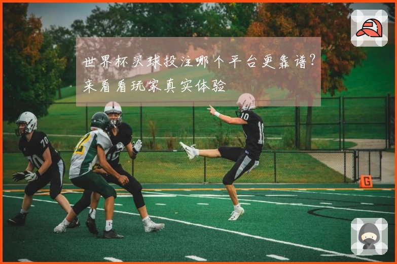 世界杯买球投注哪个平台更靠谱？来看看玩家真实体验